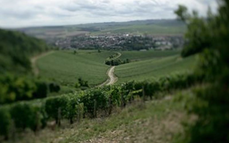 Vista de Chablis do alto dos vinhedos Grand Cru