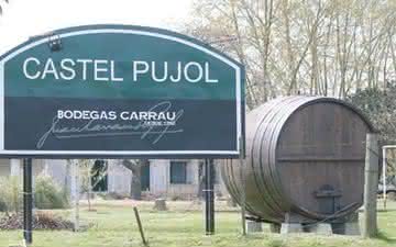 O espírito das bodegas uruguaias em foco