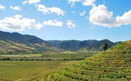 Alto Maipo, região mais próxima da Cordilheira dos Andes, no Chile