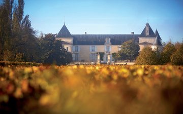 S.Chapuis/Château Suduiraut