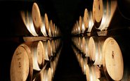 Itália exporta mais vinho em janeiro com impulso dos EUA e alerta sobre tarifas - Divulgação