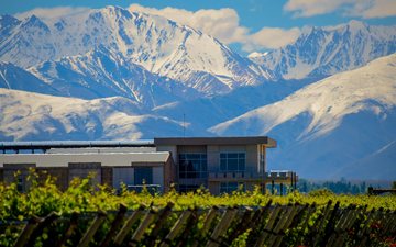 Vinícolas de Mendoza: segredos e dicas para uma experiência inesquecível