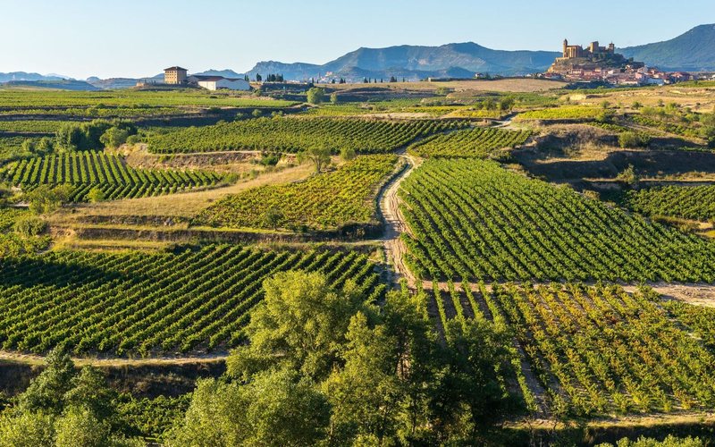 Galícia (acima), Rioja e Andalucia são algumas das regiões produtores de vinho na Espanha - Divulgação