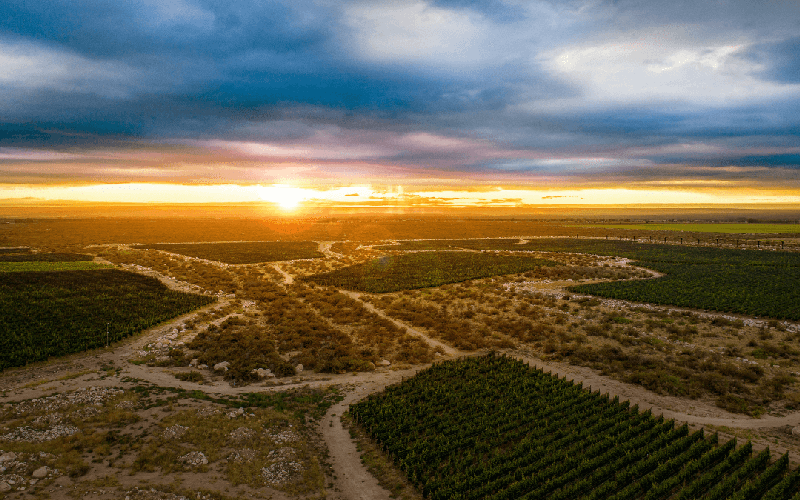 Imagem Meteora e Los Amantes: os vinhos de pequena produção de Alto Las Hormigas