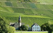 Vinhedos nas margens do Rio Mosel na Alemanha - Divulgação