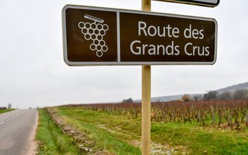 O que significa o termo francês “Cru”?