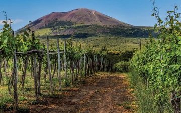 O Vesúvio domina a paisagem da região e dita o estilo do terroir