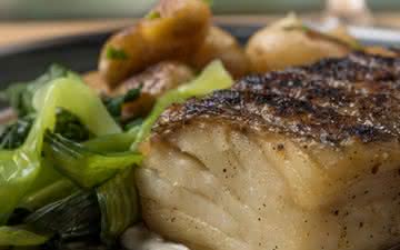 Qual o vinho certo para harmonizar com bacalhau?