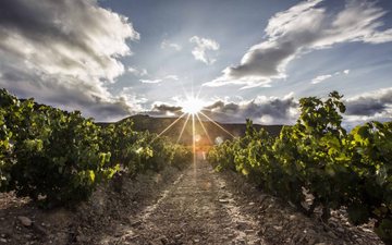 DOC Rioja, na Espanha (c)riojawine