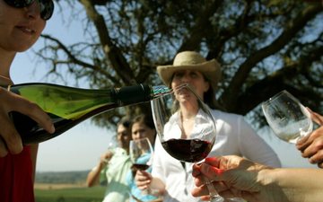Imagem Os melhores vinhos do Chile por até R$ 150