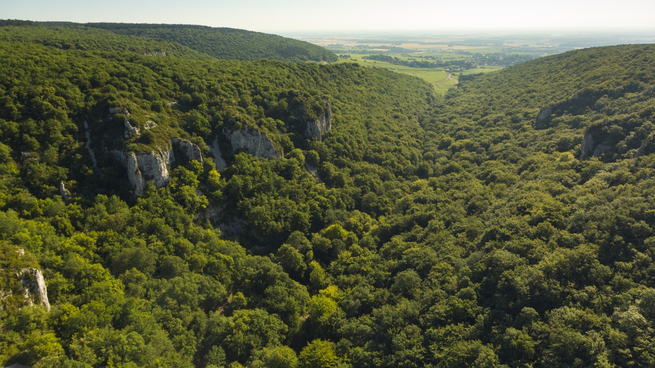 Gevrey-Chambertin, conheça o terroir rei dos Grand Cru