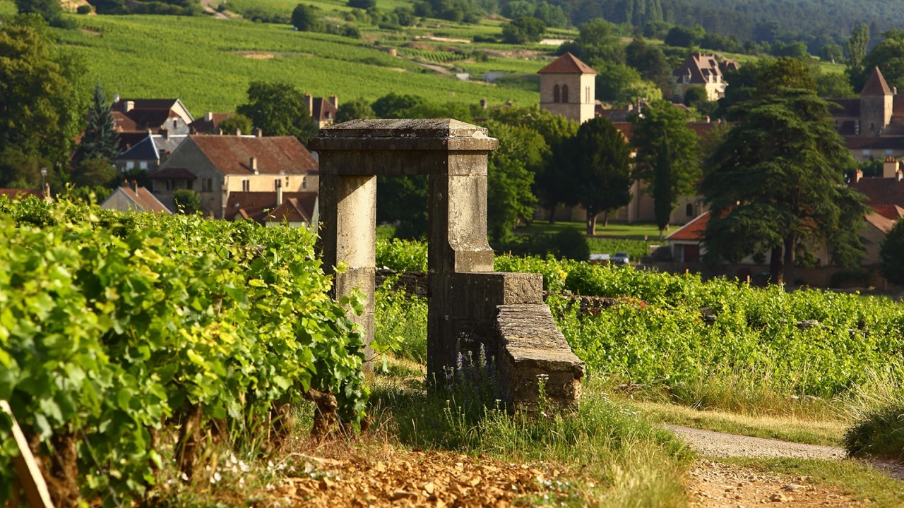 Gevrey-Chambertin, conheça o terroir rei dos Grand Cru