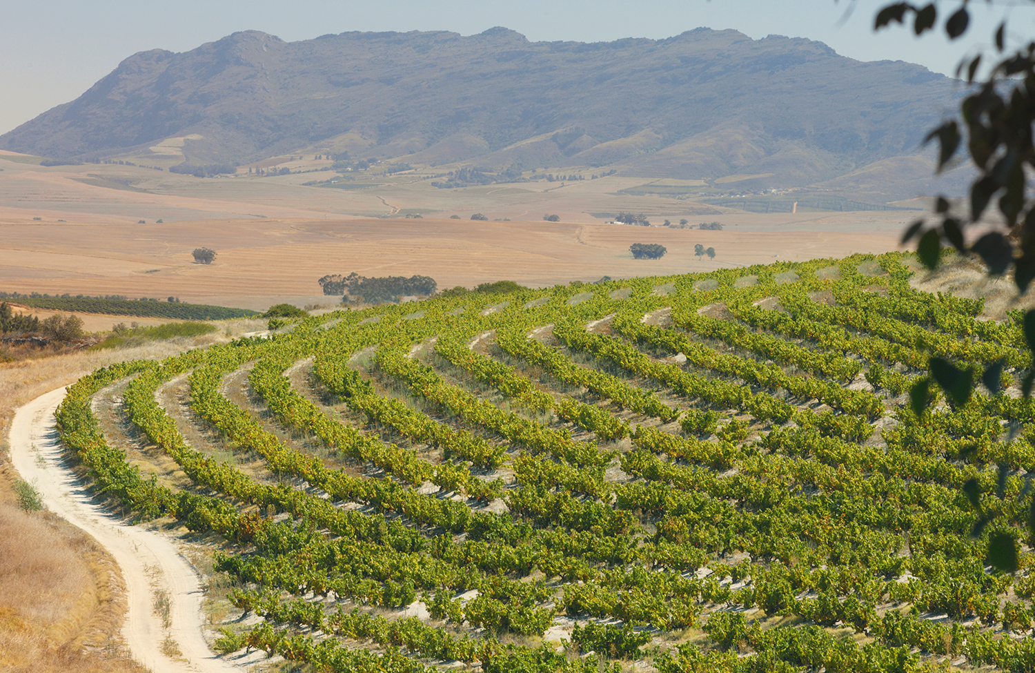 Swartland